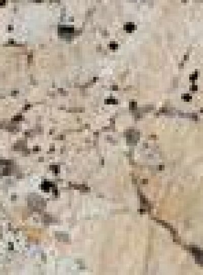 DELICATUS WHITE