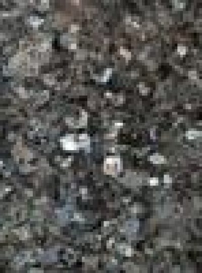 EMERALD PEARL