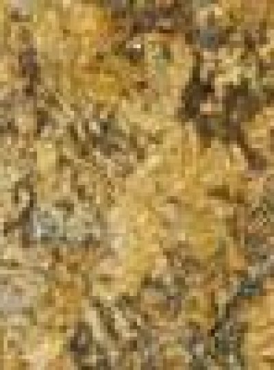 GOLDEN PERSA