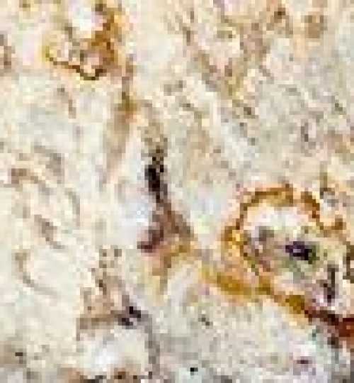 ROMANO DELICATUS