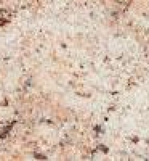 SHIVAKASHI PINK