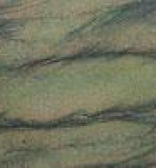 VERDE SEQUOIA
