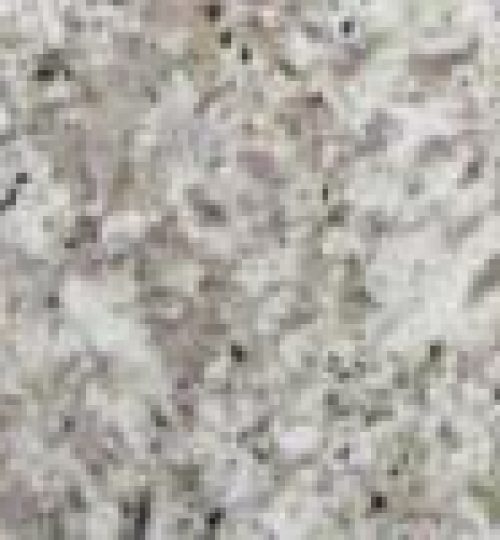 WHITE SPRING